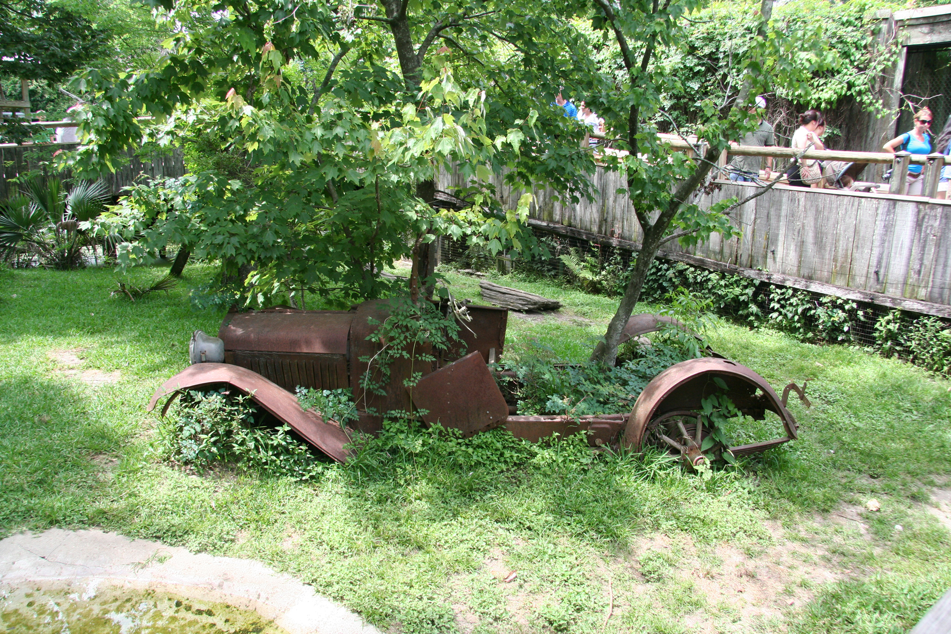 Vom Sumpf zurückerobert: Altes Autowrack / Reclaimed by the swamp: Old car wreck